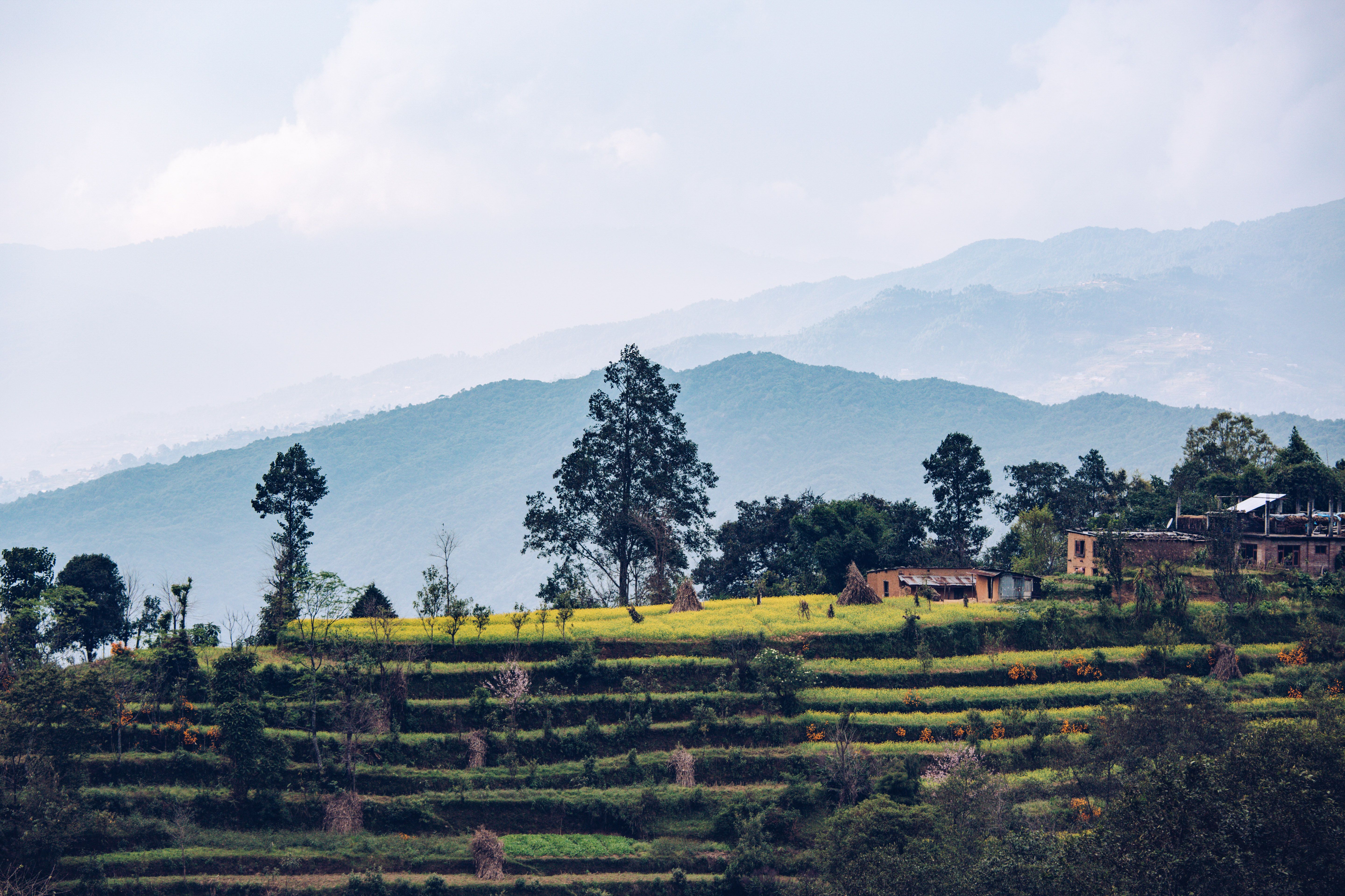 Terraced fields and a hillside home in Nepal